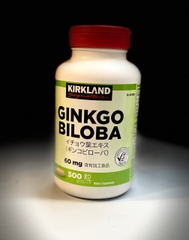 114 Viên uống bổ não ginkgo biloba Kirkland