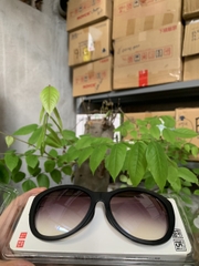 Kính chống nắng và thời trang Uniqlo