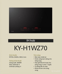 Bếp từ Panasonic KY-H1WZ70