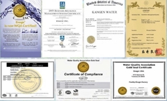 Máy lọc nước ion kiềm Kangen Leveluk SD501