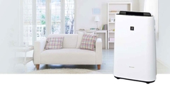 Máy lọc không khí tạo ẩm Sharp KC-P50-W | Mẫu mới 2023