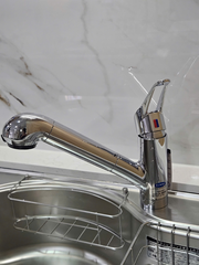 Vòi rửa bát Takagi JA300LN