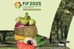 Fruit Innovation Fair 2025: Bangkok - Chanthaburi 4N3Đ