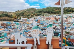 FPTR Hàn Quốc 2024: Busan - Seoul 7N6Đ