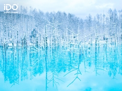 NHẬT BẢN - HOKKAIDO: Sapporo - Noboribetsu - Furano - Biei 6N5Đ