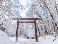 NHẬT BẢN - HOKKAIDO: Sapporo - Noboribetsu - Furano - Biei 6N5Đ