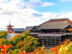 NHẬT BẢN: Tokyo - Hakone - Yamanashi - Fuji - Nagoya - Osaka 6N5Đ