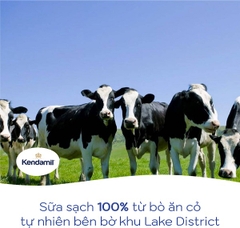 Thực phẩm bổ sung (sữa)sản phẩm dinh dưỡng Kendamil Follow On Milk (bước 2) 900g