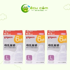 núm pigeon nội địa size  l (1 cái)