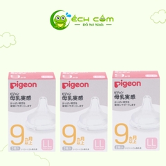 núm pigeon nội địa size ll (1 cái)