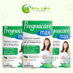 pregncarre bầu anh