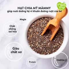 Hạt Hữu Cơ Măm my 110g hạt Chia Hữu Cơ