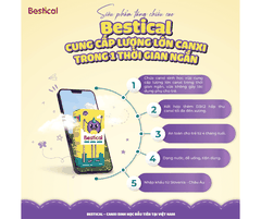 Thực phẩm bảo vệ sức khỏe Bestical
