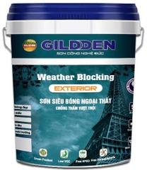 GILDDEN WEATHER BLOCKING