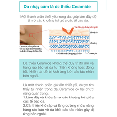 Sữa Rửa Mặt Curél Dạng Bọt Cấp Ẩm Chuyên Sâu 150ml