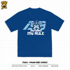 11A3 - Phan Bội Châu