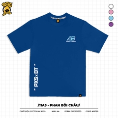 11A3 - Phan Bội Châu