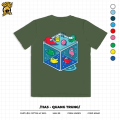 11A3 - QUANG TRUNG