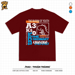 11A3 - THUẬN THÀNH