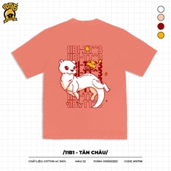 11B1- Tân Châu