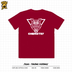 12A1 - TRƯNG VƯƠNG