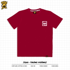12A1 - TRƯNG VƯƠNG