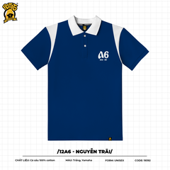 12A6 - Nguyễn Trãi