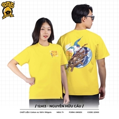 Áo lớp 12A13 - Nguyễn Hữu Cầu
