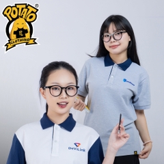 Đồng phục polo Công ty DEVILINK 1