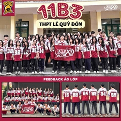 11B3 - Lê Quý Đôn