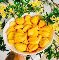 Mít tố nữ