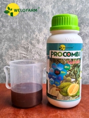 Procombi Tảo Đỏ 1L