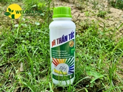 pH Thần Tốc