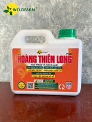 Plus Hoàng Thiên Long