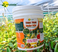 Thúc Trái Thần Tốc