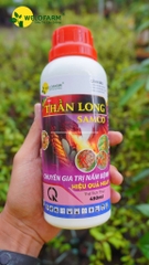 Thần Long Samco