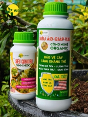 BỘ DƯỠNG + RỬA BÔNG SẦU RIÊNG