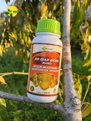 Áo Giáp Đồng Nano