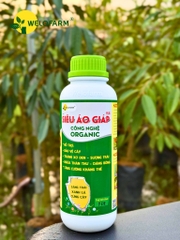 PLUS SIÊU ÁO GIÁP