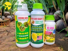 Bộ Siêu Dưỡng Bông Chai 1L