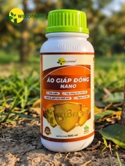 Áo Giáp Đồng Nano