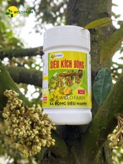 Siêu Kích Bông