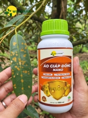 Áo Giáp Đồng Nano