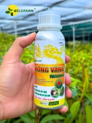Rồng Vàng Welofarm