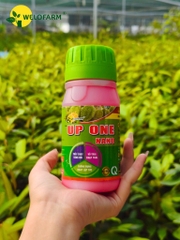 Up One Nano 250ml
