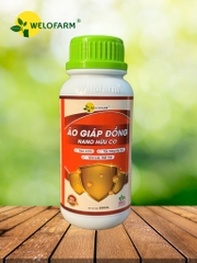 Áo Giáp Đồng Nano Hữu Cơ