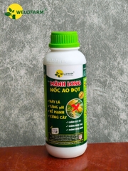 Mãnh Long Nốc Ao Đọt