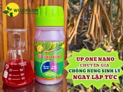 Up One Nano 250ml