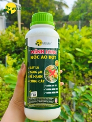 Mãnh Long Nốc Ao Đọt