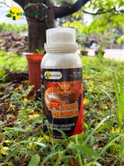 Rồng Đỏ Diệt Sâu Rầy Rệp